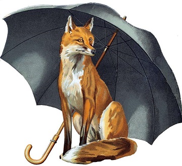 foxumbrellas logo,フォックスアンブレラ